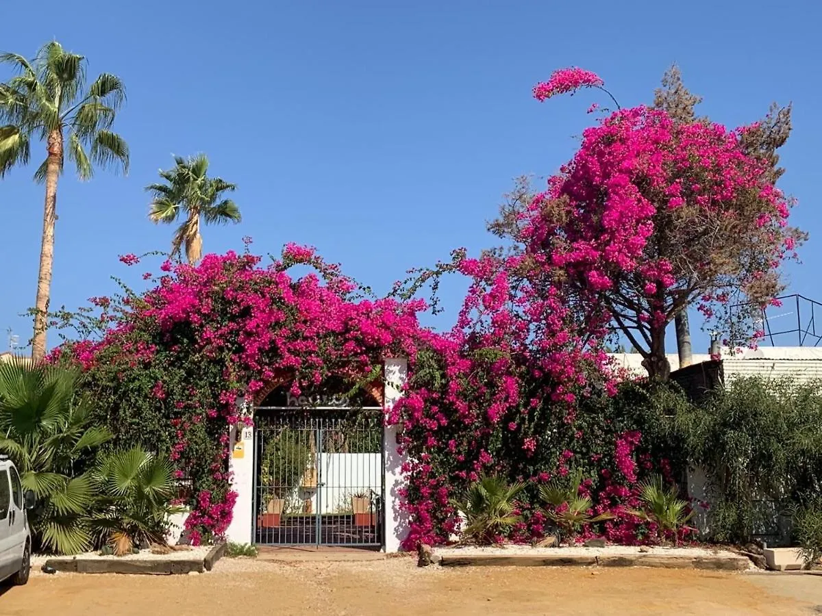 Casa Tranquila Villa San Juan de los Terreros Tatil Evi